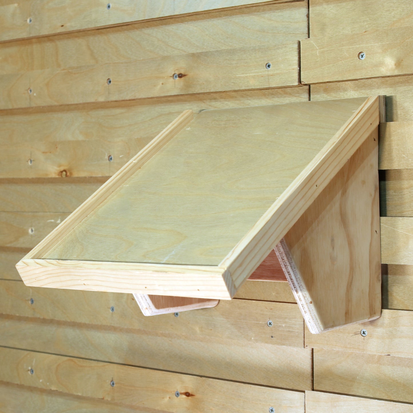 Circular Saw Shelf
